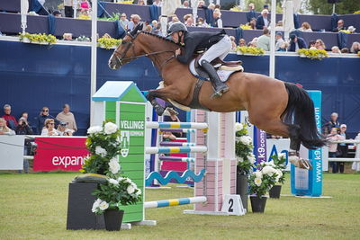 Horseware 7-årschampionat | Final - 1.40
Keywords: falsterbo;showjumping;christian jansen;narcisco blue