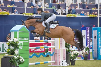 Horseware 7-årschampionat | Final - 1.40
Keywords: falsterbo;showjumping;karen moeller rohde;florina ask