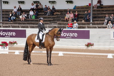 CDI1 Lilla Rundan Intermediaire I presented by Novare
Keywords: dressur;falsterbo;susanne barnov;skovdals dexter
