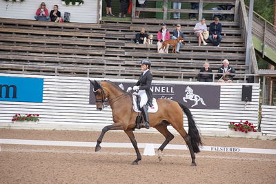 CDI1 Lilla Rundan Intermediaire I presented by Novare
Keywords: dressur;falsterbo;susanne barnov;skovdals dexter