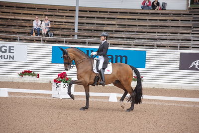 CDI1 Lilla Rundan Intermediaire I presented by Novare
Keywords: dressur;falsterbo;susanne barnov;skovdals dexter