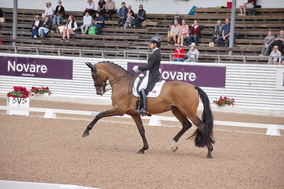 CDI1 Lilla Rundan Intermediaire I presented by Novare
Keywords: dressur;falsterbo;susanne barnov;skovdals dexter