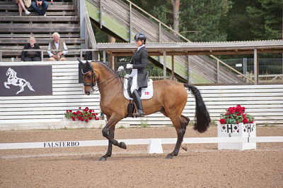 CDI1 Lilla Rundan Intermediaire I presented by Novare
Keywords: dressur;falsterbo;susanne barnov;skovdals dexter