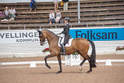 CDI1 Lilla Rundan Intermediaire I presented by Novare
Keywords: dressur;falsterbo;susanne barnov;skovdals dexter
