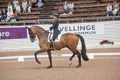 CDI1 Lilla Rundan Intermediaire I presented by Novare
Keywords: dressur;falsterbo;susanne barnov;skovdals dexter