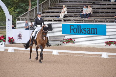 CDI1 Lilla Rundan Intermediaire I presented by Novare
Keywords: dressur;falsterbo;susanne barnov;skovdals dexter