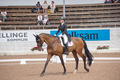 CDI1 Lilla Rundan Intermediaire I presented by Novare
Keywords: dressur;falsterbo;susanne barnov;skovdals dexter