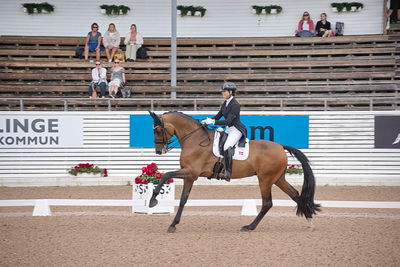 CDI1 Lilla Rundan Intermediaire I presented by Novare
Keywords: dressur;falsterbo;susanne barnov;skovdals dexter
