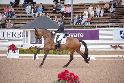 CDI1 Lilla Rundan Intermediaire I presented by Novare
Keywords: dressur;falsterbo;susanne barnov;skovdals dexter
