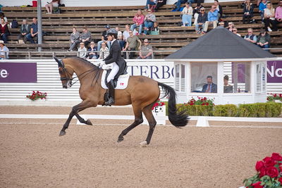 CDI1 Lilla Rundan Intermediaire I presented by Novare
Keywords: dressur;falsterbo;susanne barnov;skovdals dexter
