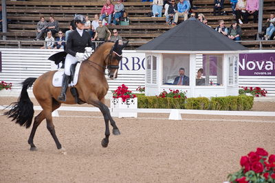 CDI1 Lilla Rundan Intermediaire I presented by Novare
Keywords: dressur;falsterbo;susanne barnov;skovdals dexter