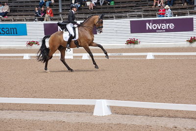 CDI1 Lilla Rundan Intermediaire I presented by Novare
Keywords: dressur;falsterbo;susanne barnov;skovdals dexter