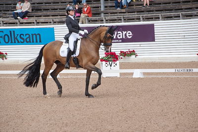 CDI1 Lilla Rundan Intermediaire I presented by Novare
Keywords: dressur;falsterbo;susanne barnov;skovdals dexter