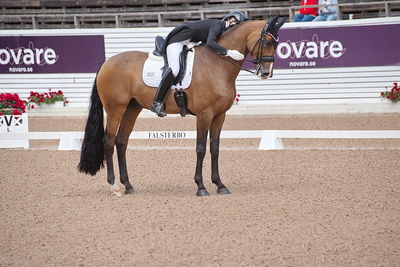 CDI1 Lilla Rundan Intermediaire I presented by Novare
Keywords: dressur;falsterbo;susanne barnov;skovdals dexter
