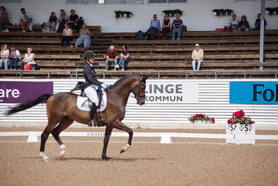 CDI1 Lilla Rundan Intermediaire I presented by Novare
Keywords: dressur;falsterbo;trude hestengen;svalegaards hot boy