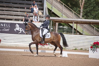 CDI1 Lilla Rundan Intermediaire I presented by Novare
Keywords: dressur;falsterbo;trude hestengen;svalegaards hot boy