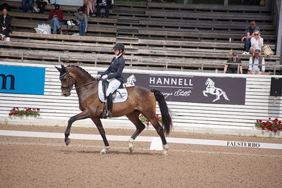 CDI1 Lilla Rundan Intermediaire I presented by Novare
Keywords: dressur;falsterbo;trude hestengen;svalegaards hot boy