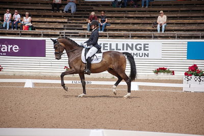 CDI1 Lilla Rundan Intermediaire I presented by Novare
Keywords: dressur;falsterbo;trude hestengen;svalegaards hot boy