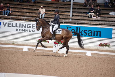 CDI1 Lilla Rundan Intermediaire I presented by Novare
Keywords: dressur;falsterbo;trude hestengen;svalegaards hot boy