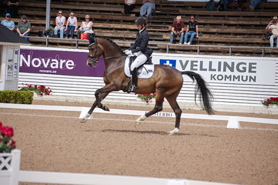 CDI1 Lilla Rundan Intermediaire I presented by Novare
Keywords: dressur;falsterbo;trude hestengen;svalegaards hot boy