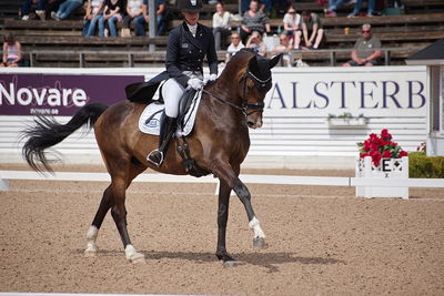 CDI1 Lilla Rundan Intermediaire I presented by Novare
Keywords: dressur;falsterbo;trude hestengen;svalegaards hot boy