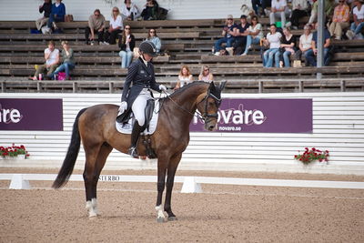 CDI1 Lilla Rundan Intermediaire I presented by Novare
Keywords: dressur;falsterbo;trude hestengen;svalegaards hot boy