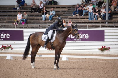 CDI1 Lilla Rundan Intermediaire I presented by Novare
Keywords: dressur;falsterbo;trude hestengen;svalegaards hot boy