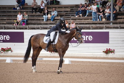 CDI1 Lilla Rundan Intermediaire I presented by Novare
Keywords: dressur;falsterbo;trude hestengen;svalegaards hot boy