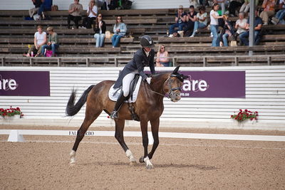 CDI1 Lilla Rundan Intermediaire I presented by Novare
Keywords: dressur;falsterbo;trude hestengen;svalegaards hot boy