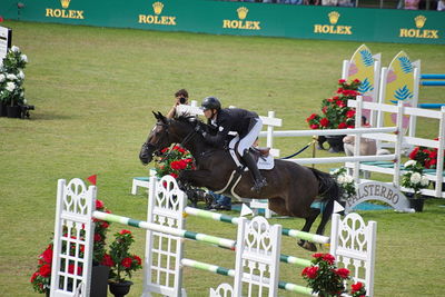CSIO5 Rolex Grand Prix
Keywords: falsterbo;showjumping;jason foley;cute face