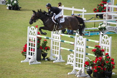 CSIO5 Rolex Grand Prix
Keywords: falsterbo;showjumping;jason foley;cute face