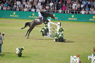 CSIO5 Rolex Grand Prix
Keywords: falsterbo;jules van hoydonck;showjumping;minte vd bisshop
