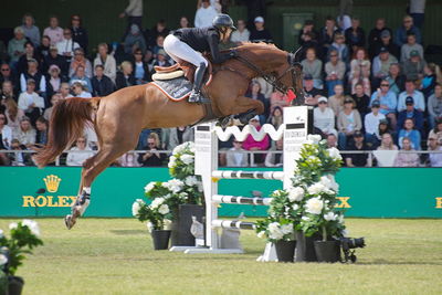 CSIO5 Rolex Grand Prix
Keywords: falsterbo;showjumping;sandra auffarth;qurici h