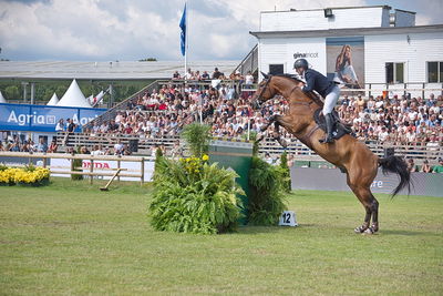 CSIO5 Rolex Grand Prix
Keywords: falsterbo;showjumping;kristaps neretnieks;valour