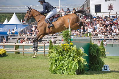 CSIO5 Rolex Grand Prix
Keywords: falsterbo;showjumping;Romain Duguet;Hunger Games du Champ du Bois