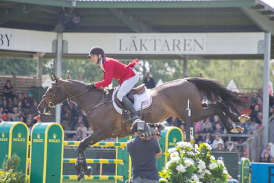 CSIO5 Rolex Grand Prix
Keywords: falsterbo;showjumping;maclain ward;callas
