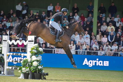 CSIO5 Rolex Grand Prix
Keywords: falsterbo;showjumping;peder fredricson;alcapone des carmille