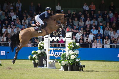 CSIO5 Rolex Grand Prix
Keywords: falsterbo;showjumping;chloe aston;akito van rocherath z