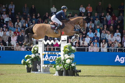 CSIO5 Rolex Grand Prix
Keywords: falsterbo;showjumping;chloe aston;akito van rocherath z