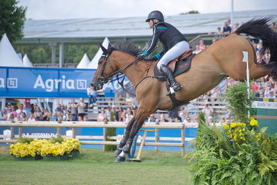 CSIO5 Rolex Grand Prix
Keywords: falsterbo;showjumping;malin bayard johsson;hm indiana