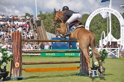 CSIO5 Rolex Grand Prix
Keywords: falsterbo;showjumping;mel thjisen;grieg s