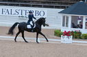 Filename=PT2_1745.JPG
Filesize=239KiB
Dimensions=800x531
Date added=Jul 12, 2025 PT2_1745.JPG