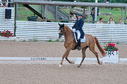 Filename=PT2_1777.JPG
Filesize=247KiB
Dimensions=800x531
Date added=Jul 12, 2025 PT2_1777.JPG