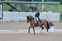 Filename=PT2_1822.JPG
Filesize=235KiB
Dimensions=800x531
Date added=Jul 12, 2025 PT2_1822.JPG