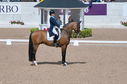 Filename=PT2_2097.JPG
Filesize=241KiB
Dimensions=800x531
Date added=Jul 12, 2025 PT2_2097.JPG