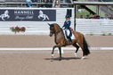 Filename=PT2_2099.JPG
Filesize=234KiB
Dimensions=800x531
Date added=Jul 12, 2025 PT2_2099.JPG