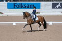 Filename=PT2_2101.JPG
Filesize=234KiB
Dimensions=800x531
Date added=Jul 12, 2025 PT2_2101.JPG
