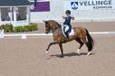 Filename=PT2_2103.JPG
Filesize=238KiB
Dimensions=800x531
Date added=Jul 12, 2025 PT2_2103.JPG