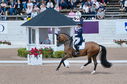 Filename=PT2_2109.JPG
Filesize=256KiB
Dimensions=800x531
Date added=Jul 12, 2025 PT2_2109.JPG