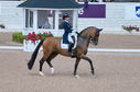 Filename=PT2_2114.JPG
Filesize=240KiB
Dimensions=800x531
Date added=Jul 12, 2025 PT2_2114.JPG